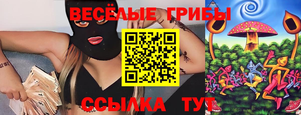 Назарово  купить наркоту  Вход с VPN  Галлюциногенные грибы GOLDEN TEACHER 